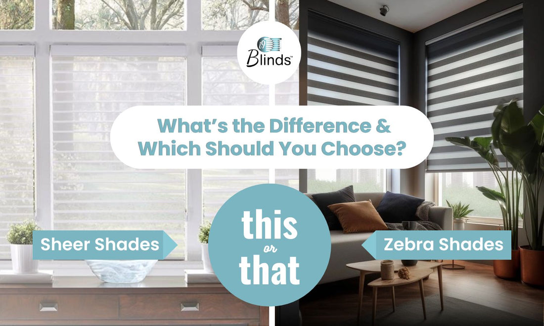 Sheer Shades vs. Zebra Shades: What’s the Difference & Which Should You Choose?